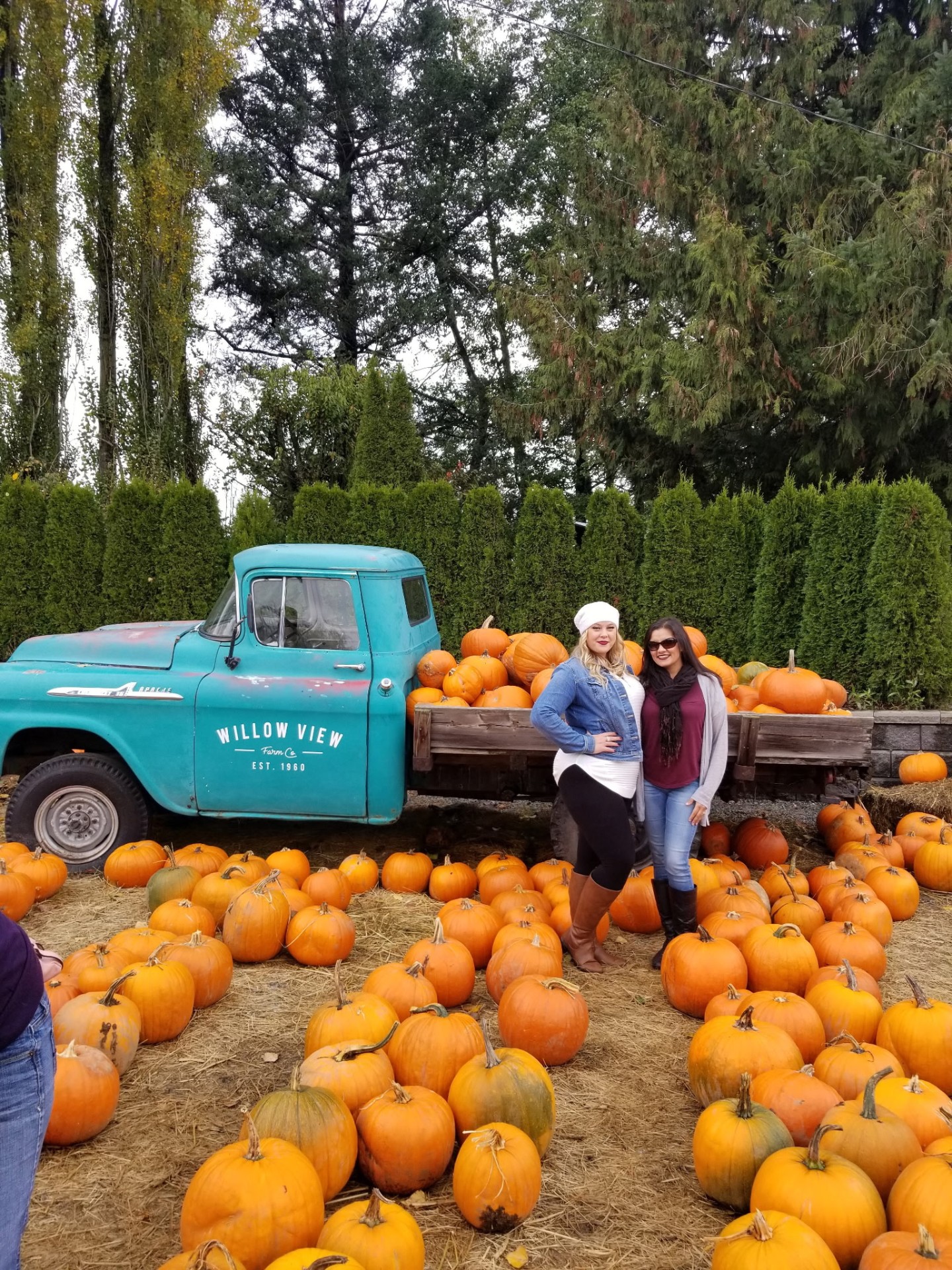 Local Fraser Valley farm